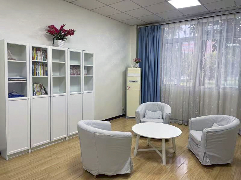 甘肃中小学心理咨询室建设规划中的计算机软件开发路径