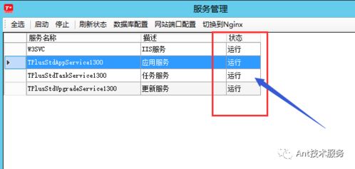 ANT技术服务假期后提示“超出演示期”的解决方法与预防措施